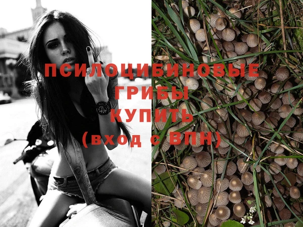 ПСИЛОЦИБИНОВЫЕ ГРИБЫ Волосово