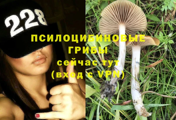 ПСИЛОЦИБИНОВЫЕ ГРИБЫ Волосово