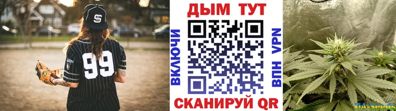 Шишки марихуана ГИДРОПОН  Купить  Лобня 
